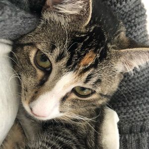 Meet your Posher, Tammy